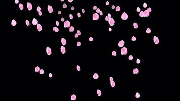 Rose Petals Animation, Embrace the Symbolism of Love video