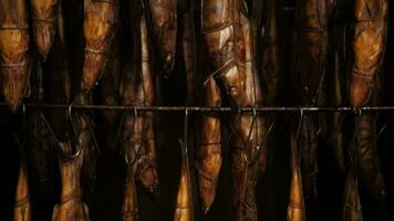 Smoked sturgeon in the smokehouse. Fish production plant. video