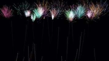 The Sparkling Canvas, Uniting Artistry and Fireworks Loop Animation video