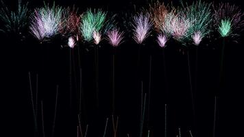 Spectacular Sky Symphony, Unveiling Fireworks Animation Magic video