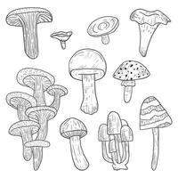 Set of vector isolated doodle forest edible and poisonous mushrooms in line art style.