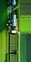 Generative AI, Farm landscape, agricultural fields, beautiful countryside, country road. Nature Illustration, photorealistic top view drone, vertical format photo