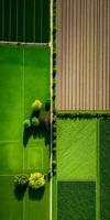 Generative AI, Farm landscape, agricultural fields, beautiful countryside, country road. Nature Illustration, photorealistic top view drone, vertical format photo