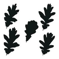 Vector image of black silhouettes of a realistic shape of oak leaves. Seasonal decorative background