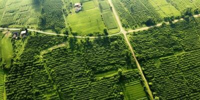 Generative AI, Farm landscape, agricultural fields, beautiful countryside, country road. Nature Illustration, photorealistic top view drone, horizontal banner. photo