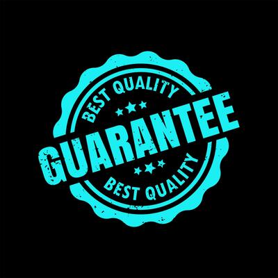 Best Quality Guarantee Blue Seal Isolated Vector