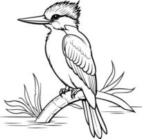 Hand drawn outline of a kingfisher vector