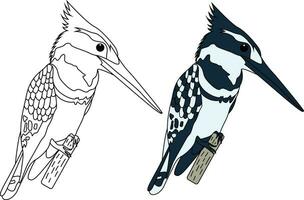 Hand drawn outline of a kingfisher vector