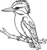 Hand drawn outline of a kingfisher vector