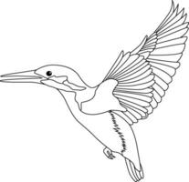 Hand drawn outline of a kingfisher vector