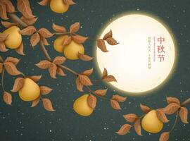 Happy mid autumn festival and wish we can share the beauty of the moon together written in Chinese words, beautiful full moon and pomelo tree background vector