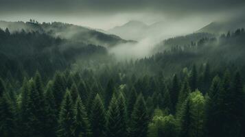 Generative AI, Misty fir forest beautiful landscape in hipster vintage retro style, foggy mountains and trees photo
