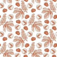 Leaves, flower and fruits of chestnut. Vector seamless pattern of chestnut plant in graphic style. Design element for wrapping paper, textiles, covers.