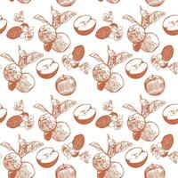Apples on a branch with leaves, whole and cut. Vector pattern with apples on a white background. Design for covers, textiles, wrapping paper, clothes.
