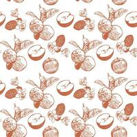 Apples on a branch with leaves, whole and cut. Vector pattern with apples on a white background. Design for covers, textiles, wrapping paper, clothes.