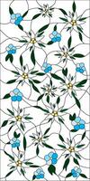 Vector template for stained glass Edelweiss and forget-me-nots. Mountain flowers, blue plants for glass painting. Pattern for window, door and ceiling.