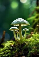 close up portrait of mushroom with bokeh background, generative ai photo