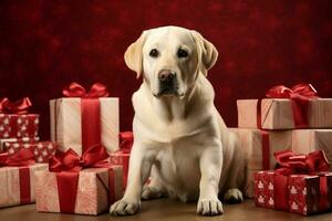 Cheerful  Labrador siting  against christmas background. The dog labrador is waiting for a celebration at home.  Generative AI photo