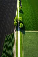 Generative AI, Farm landscape, agricultural fields, beautiful countryside, country road. Nature Illustration, photorealistic top view drone, vertical format photo