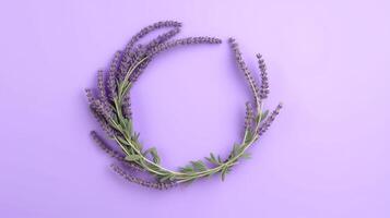 , wreath of lavender branches flowers with copy space, natural organic floral frame violet background photo