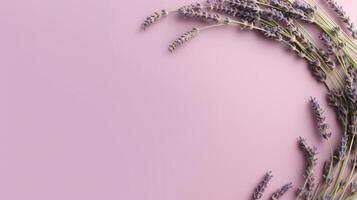 , wreath of lavender branches flowers with copy space, natural organic floral frame violet background photo