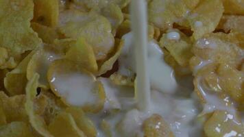 Close-up shot of milk pouring over breakfast cereal, crispy cornflakes, healthy eating video