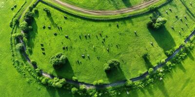 Generative AI, Farm landscape, agricultural fields, beautiful countryside, country road. Nature Illustration, photorealistic top view drone, horizontal banner. photo