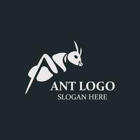 Ant logo design silhouette. Isolated animal ants on background design template vector