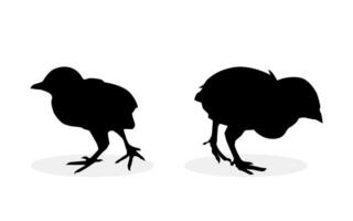 check silhouette design. Black simple chicken illustration in set vector