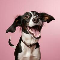 generativo ai, retrato de un contento perro mirando a el cámara con boca abierto en rosado antecedentes foto