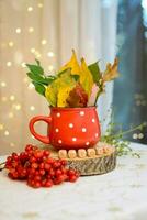 Autumn still life background. fall backdrop photo