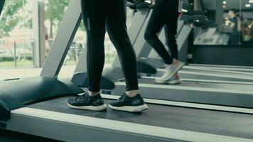 Sport athlete man and woman wearing clothes running on treadmill View of active female athlete training in gym video