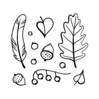 Autumn doodle hand-drawn page with outlines for adult coloring book, art therapy, isolated on white background. vector