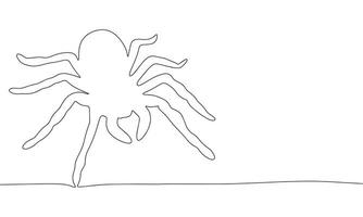 Spider. One line continuous concept insect Halloween banner. Line art, outline, silhouette, vector illustration.