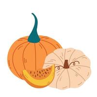 Autumn vegetable composition with pumpkin of various shapes and colors. Halloween clip art, autumn design elements. Perfect graphic for Thanksgiving day, Halloween, greeting cards. Vector illustration