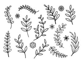 set of tree branches with leaves and flowers line style on white background vector