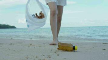 opslaan oceaan. vrijwilliger plukken omhoog uitschot vuilnis Bij de strand en plastic flessen zijn moeilijk ontleden voorkomen kwaad aquatisch leven. aarde, omgeving, vergroening planeet, verminderen globaal opwarming, opslaan wereld video