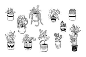 Set of hand drawn home plants doodles. Vector isolated outline elementds on white background. Cactus, begonia, dracaena in ceramic pots. Sketch design. Perfect for coloring pages, stickers, tatoo.