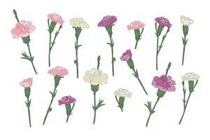 Set of hand drawn carnation different colors. Vector outline isolated pink, white and purple flowers on white background. Ideal for stickers, tatoo, pattern, background, wrapping paper, pattern