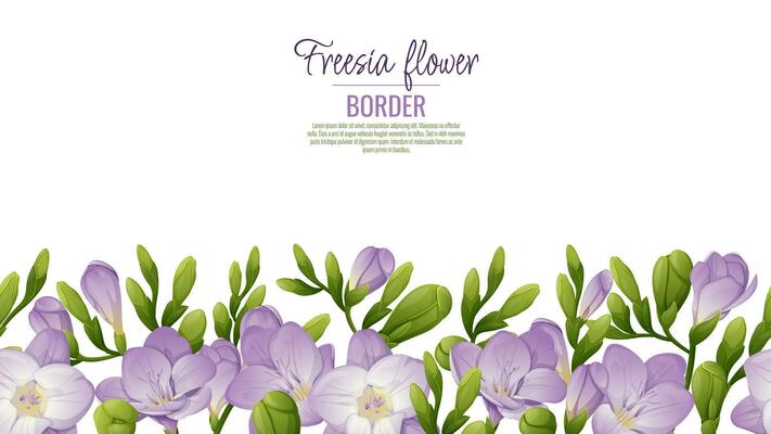 Seamless border of purple freesia flowers and green buds on a white background. Background design. Template for posters, postcards. Vector illustration