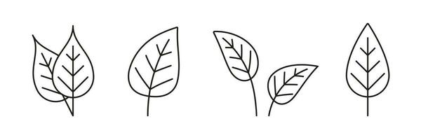 Set black line leaf icons on white background. Vector illustration