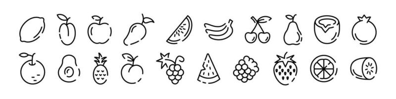 Fruit icon set. Linear style fruit set vector