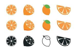 Orange fruit. Oranges segmented on a white background. Vector illustration