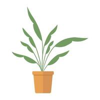 Hand drawn vector potted plant. - Vector.