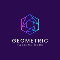 Geometric Polygonal Hexagon Line Logo with Gradient Color for Business Company Digital Network, Finance, Technology, Communication. vector