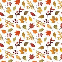 hojas de bosque de otoño y patrones sin fisuras de bayas. ilustración vectorial estacional. fondo vectorial específico de la temporada de otoño. perfecto para saludos, invitaciones, papel de envolver, textil. vector