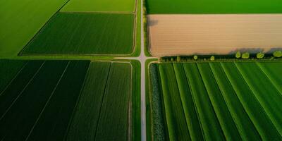 generativo ai, granja paisaje, agrícola campos, hermosa campo, país la carretera. naturaleza ilustración, fotorrealista parte superior ver zumbido, horizontal bandera. foto