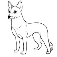 Basenji, simple line ,coloring book page, simple outlines, vector illustration line art