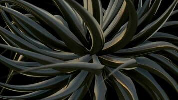dunkel abstrakt metallisch Textur Bewegung Hintergrund mit ein seltsam futuristisch Roboter Pflanze und Metall Blätter sanft schwankend. voll hd und Schleifen Animation. video