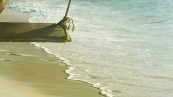 uomo a piedi su il spiaggia. onde rotolo su il spiaggia. Paradiso vacanza su il isola. swing su un' palma albero video